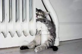 Termosifoni accesi dal 15 ottobre