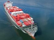 Catastrofe ecologica, sale l’onda nera Nuova Zelanda