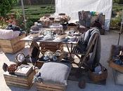 "Nel segno Giglio" Autunno- parte