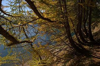 Una calda giornata d'autunno all'Alpe Devero