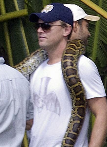 Leo Di Caprio: snake or fake?