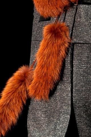 Fur