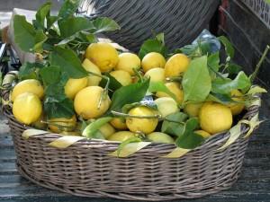 Salsa Al Limone della Nonna