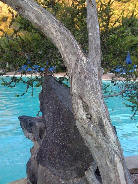 Il Tempo le persone e le cose...