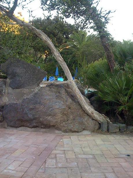 Il Tempo le persone e le cose...