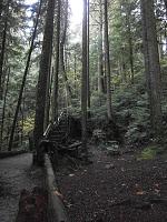 Canada...dove la natura regna incontrastata! ...e pure i Grizzly :)