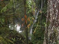 Canada...dove la natura regna incontrastata! ...e pure i Grizzly :)