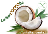 Palline cocco - mapo Palline cocco - mapo