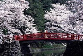 VIAGGIO GRATIS per il GIAPPONE - Paga l'ente per il TURISMO VIAGGIO GRATIS per il GIAPPONE - Paga l'ente per il TURISMO