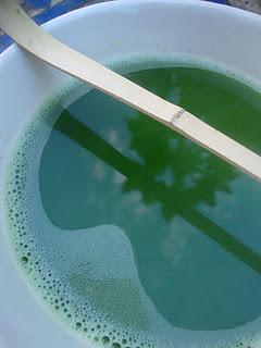 MATCHA FUKUMUKASHI