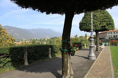 i lecci di piazza dei Martiri di Bassano del Grappa