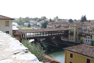 i lecci di piazza dei Martiri di Bassano del Grappa