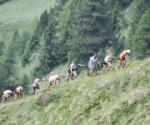 sky,race,sky running,corsa,montagna,bike extreme,sport,podismo,mario facchini,news power