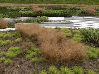 BERNE PARK, by PIET OUDOLF & GROSS MAX, BOTTROP, GERMANY 2010