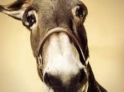 Riduzione bocciati premi produzione