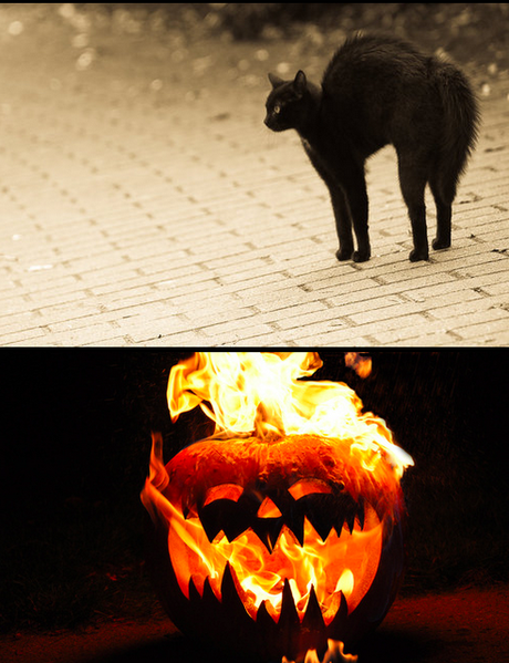 MUFFIN'S EVENT in HALLOWEEN time...