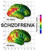 Schizofrenia dei Consumatori Americani