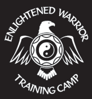 Enlightened Warrior Camp di T Harv Eker!