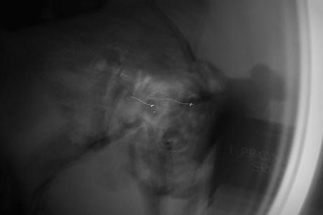 Weekend tra freddi venti di Grecale.