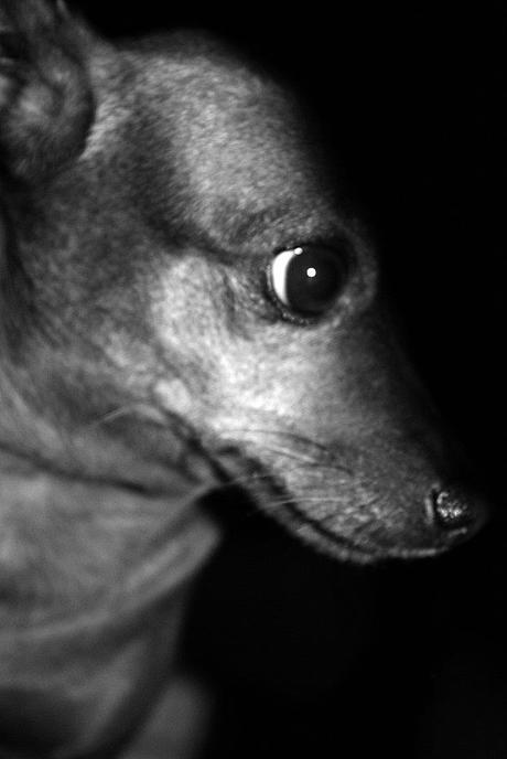 Weekend tra freddi venti di Grecale.