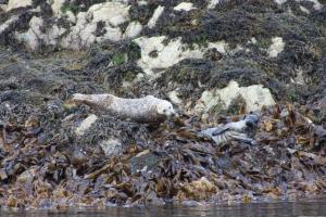 La vacanza scozzese di Sheila – parte II