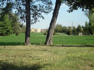 Coi Grillini in passeggiata ecologica a Fidenza