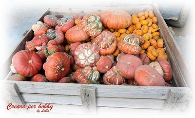 Un sabato a caccia dei profumi del passato: Bolito misto e risotto con la zucca