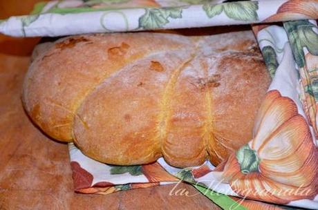 Pane di zucca.