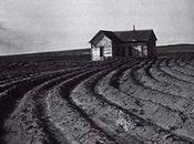 Dorothea lange: great depression