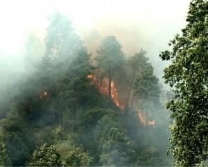 Liguria: boschi in fiamme. Paura a Genova