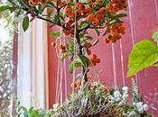 String Gardens _autumn