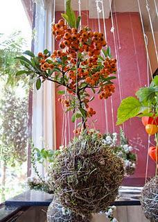 String Gardens _autumn