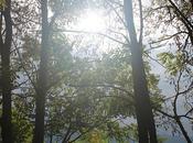 Uno, nessuno, centomila.