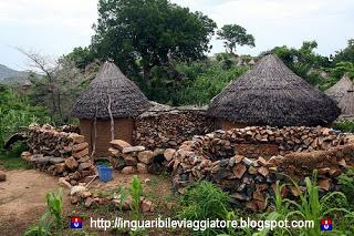  Un inguaribile viaggiatore in Camerun – Tipica casa di Oudjilla