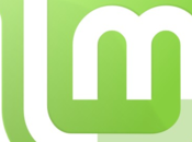 Linux Mint sarà rilasciata Novembre: ecco novità