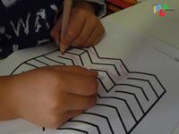 stradagiusta1 AIUTIAMO IL PIPISTRELLO A TROVARE LA SUA STRADA