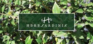 Recensione cosmetici eco-bio Herbsardinia!