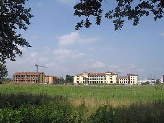 Le cicale alla fine di una lunga estate