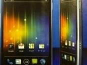 Samsung Galaxy Nexus: foto reale caratteristiche tecniche