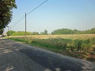 Istituto Solari: interviene un cittadino di Fidenza