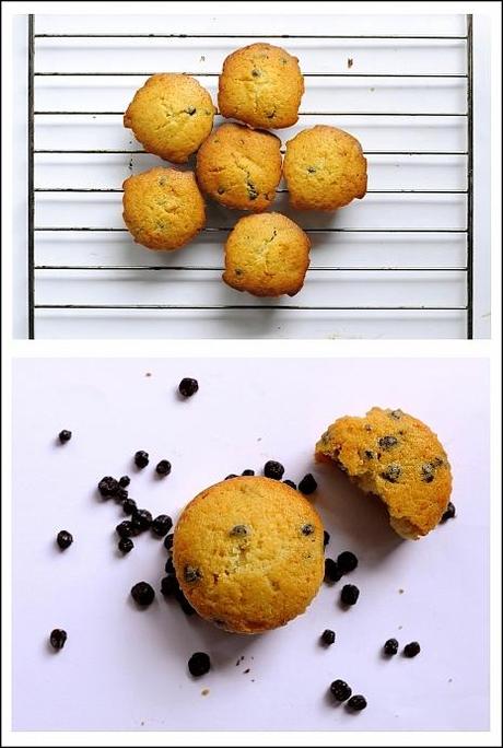 Muffins ai Ribes Neri