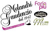 Ditte con cui collaboro