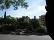 Holiday Eivissa