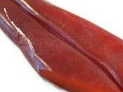 Antipasto bottarga
