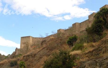 MALAGA