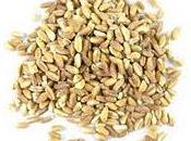 Bruciore stomaco acidità come evitarli