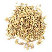 Bruciore di stomaco e acidità come evitarli