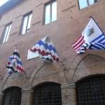 Siena Contrada dell'Istrice