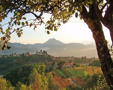 Master Toscana: genio e cultura nella terra di Leonardo