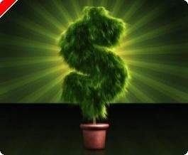 Come giocare in maniera responsabile